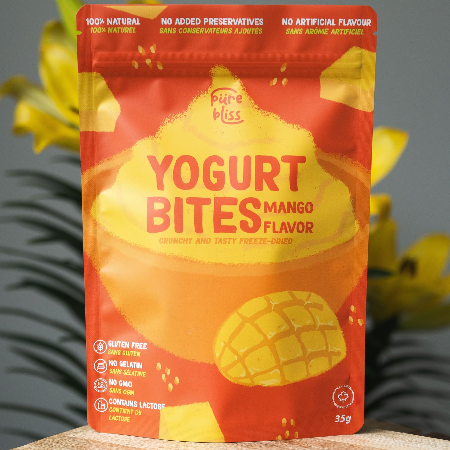 YOGURT BITES MANGO