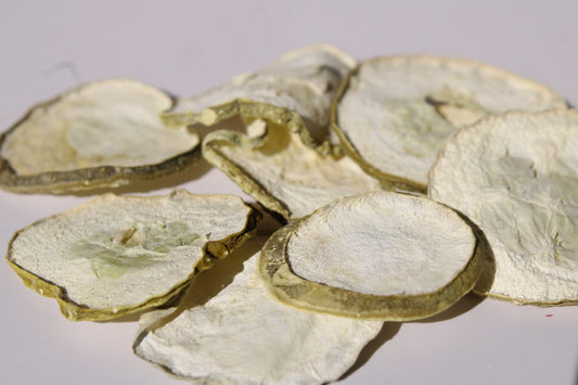 FREEZE DRIED DILL-PICKLE