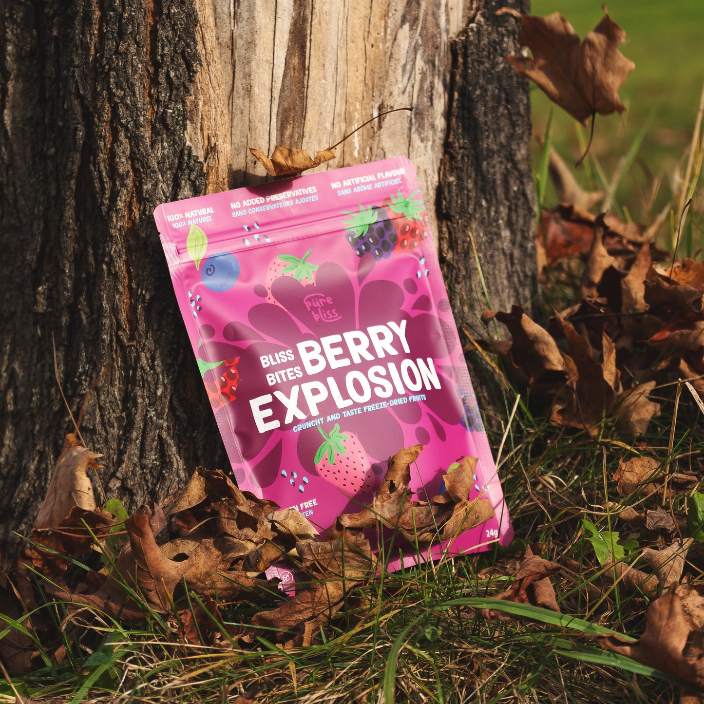 Mixed Berries, all freeze dried fruit made in Canada.