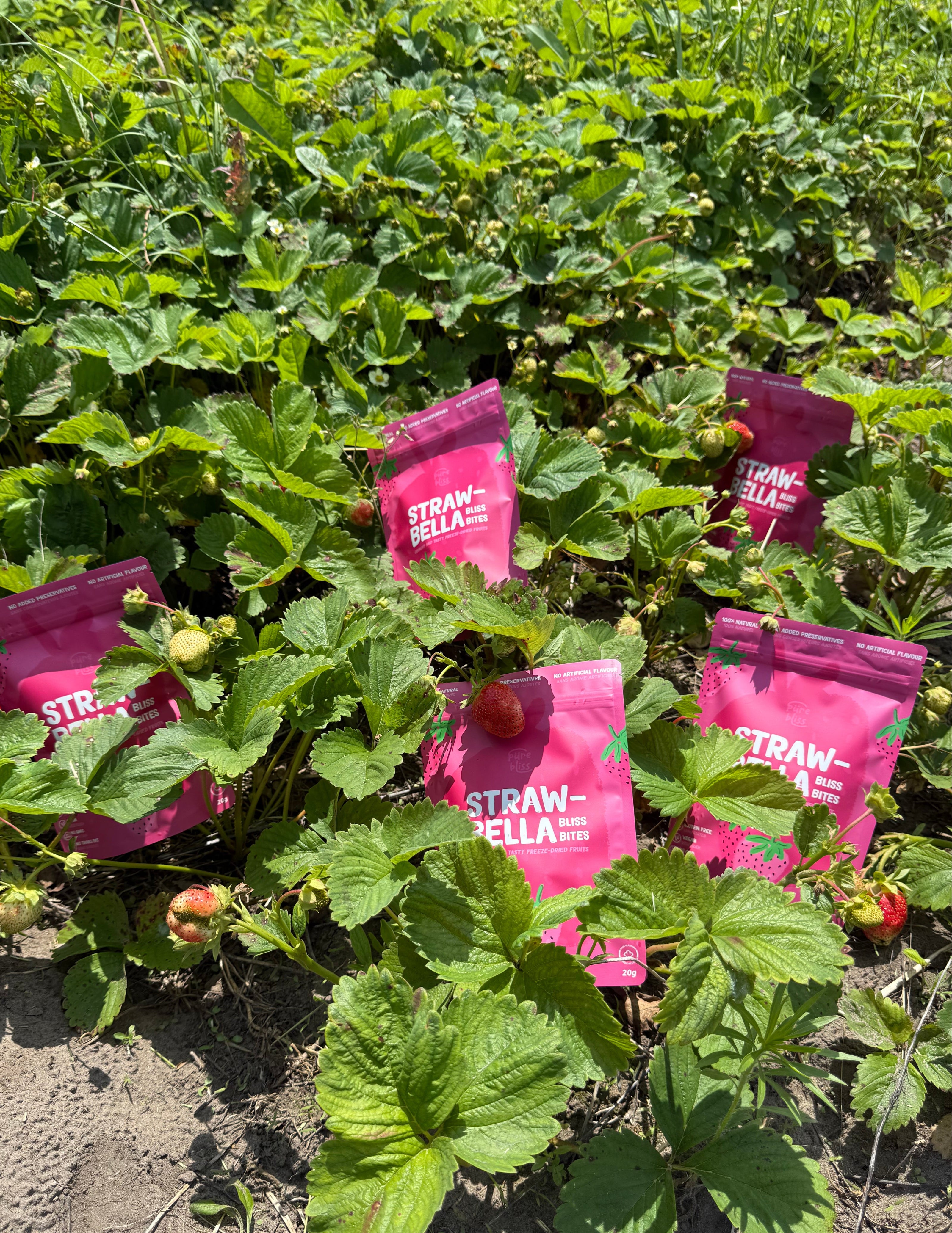 Ontario Sourced Fruit, Ontario Made, Freeze Dried Fruit, All natural snack.
